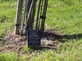 image of grave number 831183